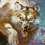   finwolf